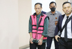 Bela Nadiem, Hotman Paris Tantang Gelar Perkara di Istana Presiden