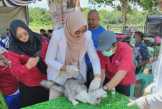 Kasus Rabies di Empat Lawang Capai 214, Satu Tewas Delapan Warga Positif Terinfeksi