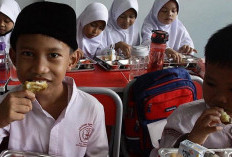 65 Persen Warga Dinilai Perlu MBG, BGN Ungkap Urgensi Perluasan Program Gizi Nasional
