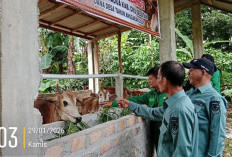 Pemerintah Kecamatan Muaradua Monev Ketahanan Pangan Desa Batu Belang II