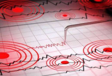 BMKG: Gempa Magnitudo 6,4 Papua Terasa Hingga Wamena