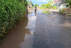 Pengguna Jalan Geram, Kerap Banjir Tak Ada Tanggapan