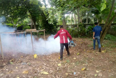 Cegah Wabah DBD, Gelar Fogging Serentak di 18 Kecamatan