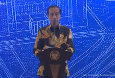 Jokowi Bahas Persiapan Indonesia Jadi Anggota OECD