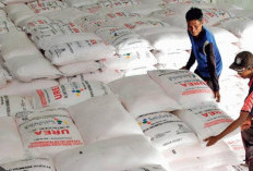 Kios Tiga Bermadu Diduga Jual Pupuk di Atas HET, Petani Minta Pemerintah Bertindak