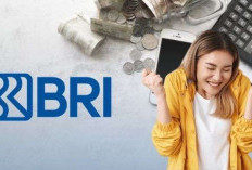 Lengkapi Syarat Umum-Khusus, Dua Jenis KUR BRI 2025