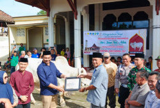 Presiden Salurkan Sapi Kurban, Bupati Abusama Pimpin Langsung Penyembelihan di OKU Selatan