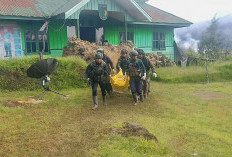 Pasukan TNI-Polri Berhasil Evakuasi Korban Penembakan di Intan Jaya