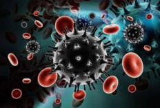 Kasus HIV/AIDS di Sumsel Masih Tinggi, Masyarakat Diminta Waspada dan Kenali Gejalanya