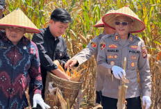 Polres OKU Selatan Gelar Panen Raya Jagung