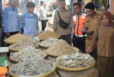 Pemkab OKU Selatan Pantau Harga Sembako