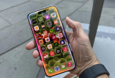 Tak Perlu iPhone 16 Pro, iPhone 16 Biasa Sudah Lebih dari Cukup untuk Kebanyakan Pengguna