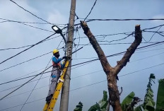 Kinerja PLN OKU Selatan Terus Dikeluhkan Masyarakat