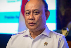 Kepala BGN Klarifikasi Isu 19.000 Sapi per Hari di Program MBG: Hanya Simulasi, Bukan Kebijakan Nyata