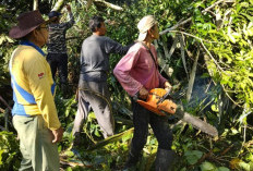 Diterjang Cuaca Ekstrem, Warga Desa Air Rupik Kompak Bersihkan Makam Umum Secara Swadaya