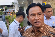 Prabowo Tunjuk Yusril Jadi Ketua Komite Satgas TPPU