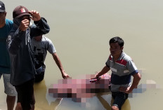 Korban Hanyut di Sungai Komering Ditemukan Meninggal Dunia di Talang Surau