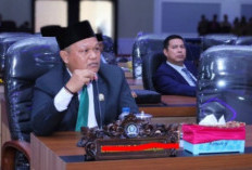 Soroti Maraknya Setrum Ikan di Paripurna, Misyadin Desak Pemkab OKU Selatan Bertindak Tegas