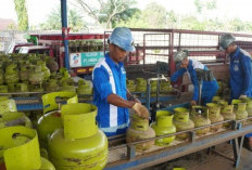 Pertamina pastikan distribusi LPG subsidi di Babel normal