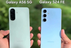 Galaxy A56 vs S24 FE: Duel Ketat Smartphone Menengah, Siapa Unggul?
