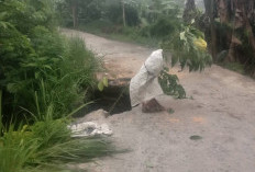 Jalan Poros Serakat Jaya–Jagaraga Amblas, Truk Tak Bisa Lewat, Warga Minta Perbaikan Segera