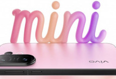 Bocoran Vivo S50 Series: Usung Snapdragon 8 Gen 5 dan Desain Mini Premium