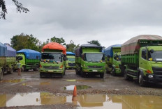 Langgar Aturan Tonase, Puluhan Truk Batu Bara Terjaring Razia di Sumsel