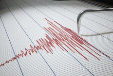 Gempa 6,1 Magnitudo Guncang Turki, Belasan Bangunan Runtuh