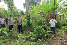 Polisi ungkap identitas tulang belulang manusia di OKU Selatan