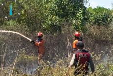 1 Hektare Lahan Terbakar di Kabupaten Ogan Ilir