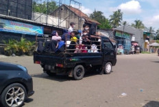 Mobil Bak Terbuka Dilarang Bawa Penumpang Masuk Kawasan Wisata Danau Ranau