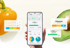 Samsung Health Ubah Data Harian Jadi Insight Praktis buat Hidup Sehat