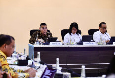 Wamen Ossy Laporkan Progres Pengadaan Tanah Huntap Warga Terdampak Erupsi Gunung Lewotobi ke Menko PMK