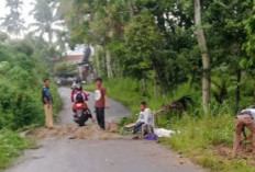 Longsor Putus Akses Jalan Rantau Nipis–Mekakau Ilir, Warga Lakukan Penanganan Darurat