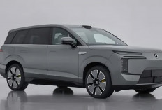 Denza Rilis SUV 6-Seater N8L, Harga Mulai Rp 800 Jutaan