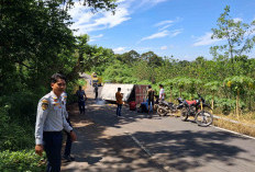 Nyaris Tabrak Motor, Truk Box Sembako Terguling di Jalan Lingkar Jagaraga