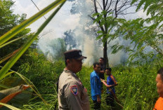 Lahan Kosong Seluas 1/4 hektar Terbakar