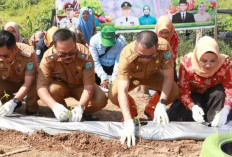 Ikuti Kegiatan Tanam Cabe Serentak se Sumsel