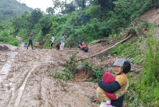 Tanah Longsor Terjang Desa Cukohnau, BPBD OKU Selatan Bergerak Cepat