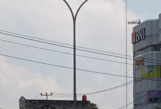 Breaking News: Kantor Dishub Palembang Digeledah Kejari, Terkait Dugaan Korupsi Lampu Jalan