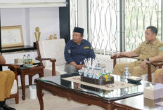 Sebelum Temu Karya, Karang Taruna Audiensi ke Bupati OKU Selatan
