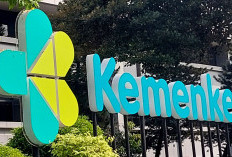Kemenkes Datangkan 47 Ahli Medis Jerman untuk Perkuat Radioterapi Kanker Serviks