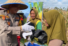 Polres OKU Selatan Panen Raya Jagung Bersama Warga