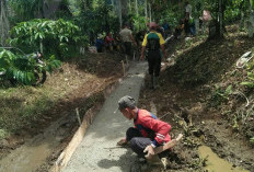 6 Tahun Tanpa Menunggu: Warga Aromantai Swadaya Cor Jalan Kebun, 11 Sak Semen Langsung Dipasang