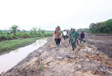 Bupati OKU Timur Tinjau Lokasi Optimalisasi Lahan