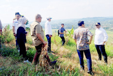 Bupati dan Kementerian PU Tinjau Lahan Sekolah Rakyat di OKU Selatan