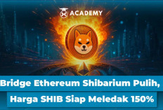 Bridge Ethereum Shibarium Pulih, Harga SHIB Diprediksi Siap Meledak 150%