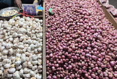 Harga Bawang Merah Putih Pacsa Idul Fitri Mengalami Peningkatan Harga