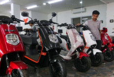 Biar Laku Tanpa Subsidi, Motor Listrik Diminta Bebas Parkir dan Punya Jalur Khusus