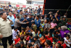 Prabowo perintahkan jaga alam dan tidak tebang pohon sembarangan